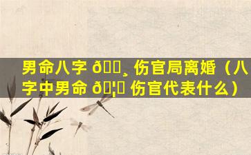 男命八字 🕸 伤官局离婚（八字中男命 🦊 伤官代表什么）